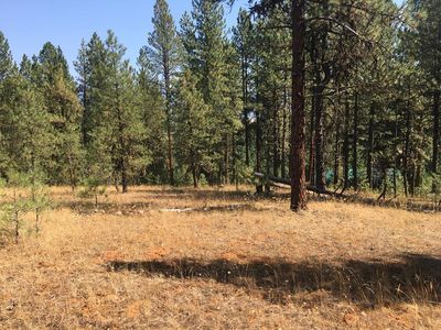 3951 Hot Springs Rd, New Meadows, ID, 83654
