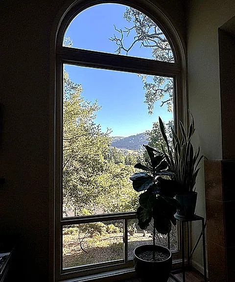 Great windows with great views!