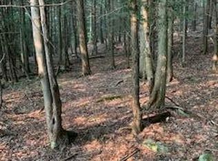 10 Highway 507 Rd, Newfoundland, PA 18445