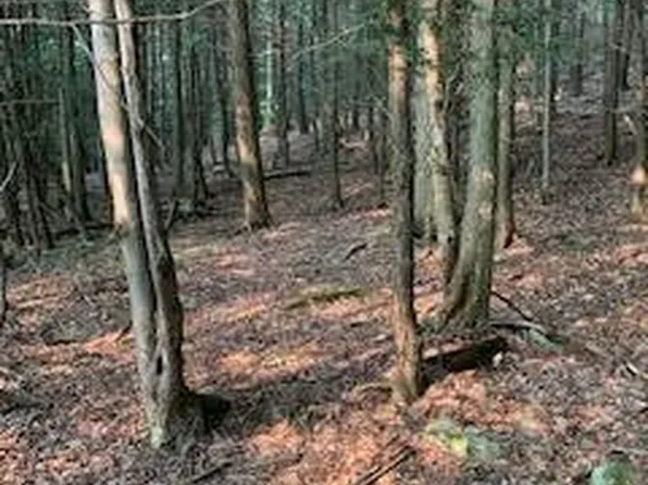 10 Highway 507 Rd, Newfoundland, PA 18445