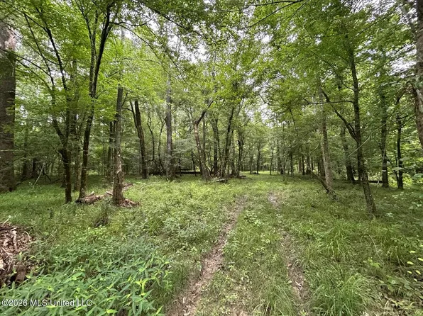 6643 Grange Hall Rd, Osyka, MS 39657