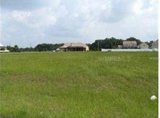 13102 Sara Anna Ct, Dover, FL 33527