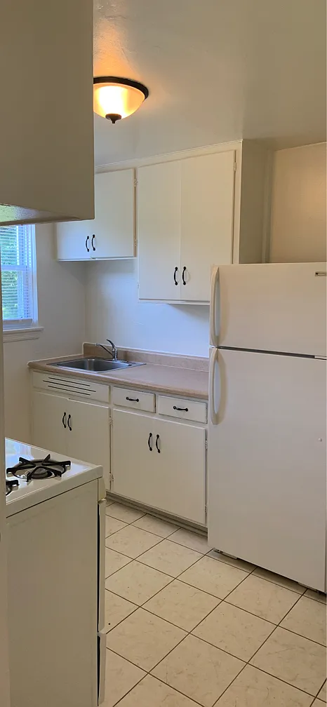 Oak Bluff Place - 1328 — Photo 3