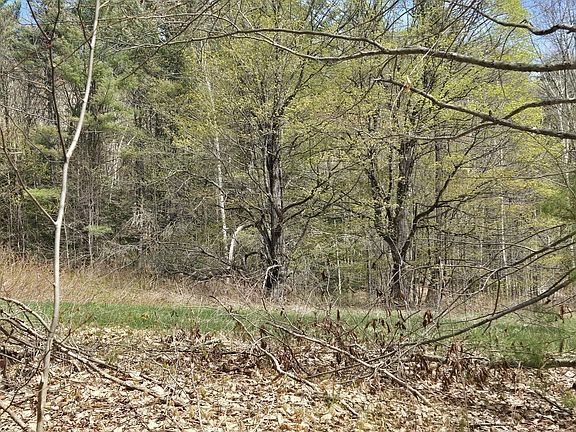 2nd image of 0 W Branch Rd