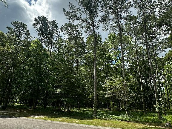 4th image of 201 Lockhaven Dr SE Lot 233