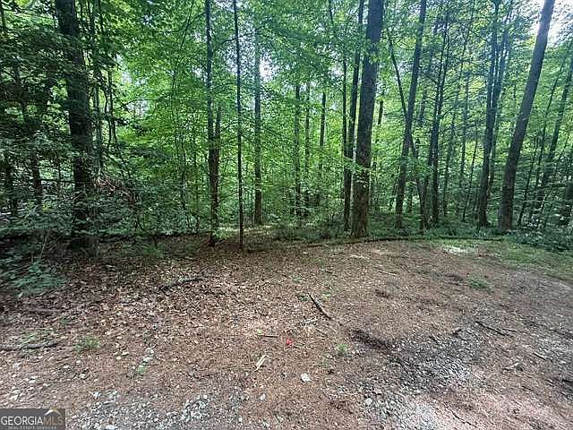 1st image of 389 Fox Trot Rd Tract B
