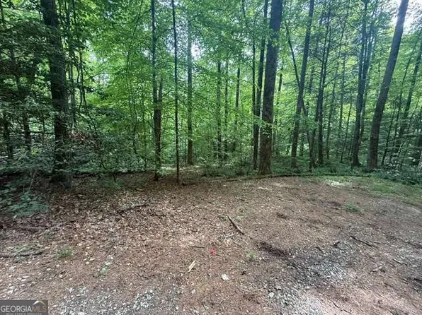 389 Fox Trot Rd Tract B, Clayton, GA 30525