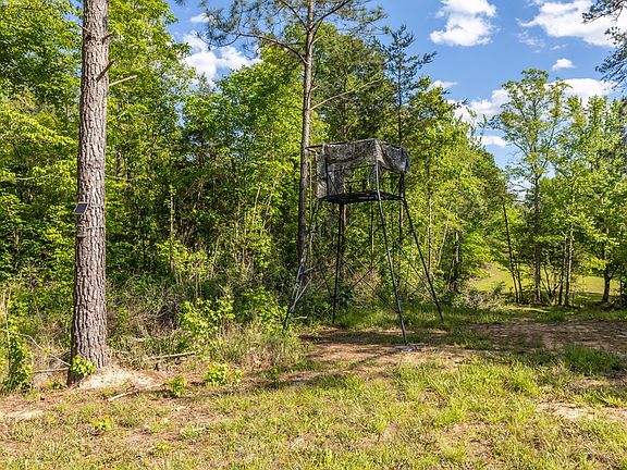 2nd image of 26.75 Ac Hwy #49