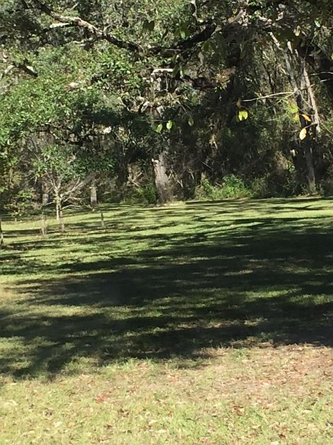 2nd image of 10501 Ne 126 St