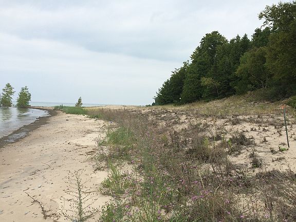Walk out beach