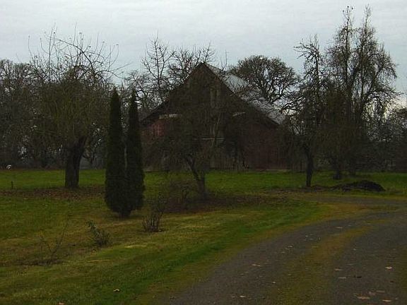 barnyard