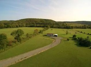 156 N Greenbush Rd, Erin, NY 14838