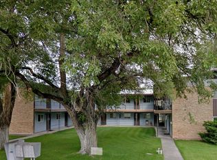 Lofts - 409 S 9th - 105 (24-5), Montrose, CO 81401