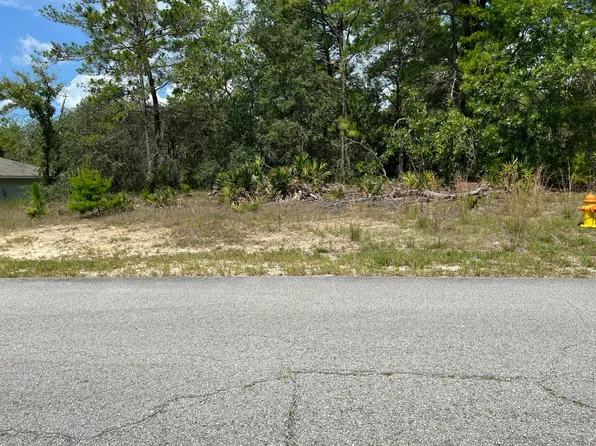 6876 N Sandborn Loop, Citrus Springs, FL 34433