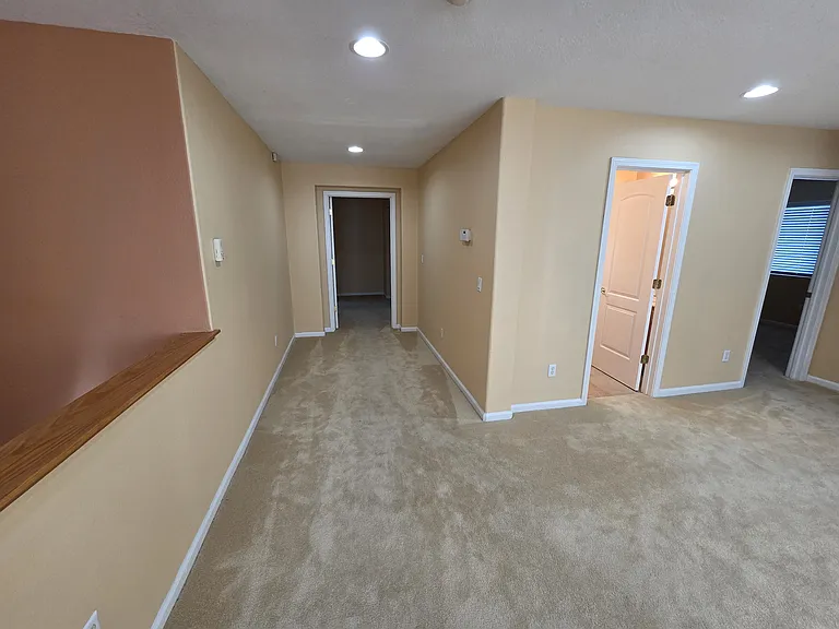 4206 Virginia Pine Ct — Photo 22