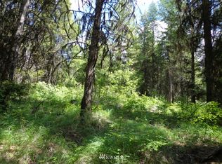 LOT Two Goodrich Rd, Republic, WA 99166