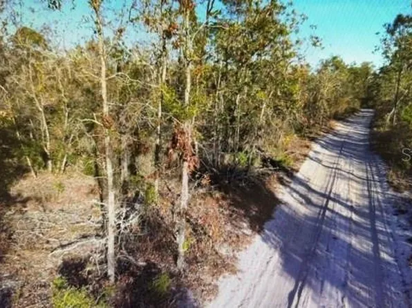 Clearwater Creek Ln, Perry, FL 32348