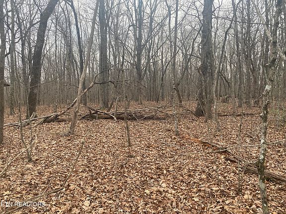 3rd image of 114 Folkstone Rd