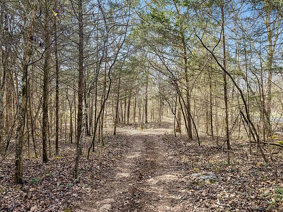 3rd image of 7 Paschal Rd