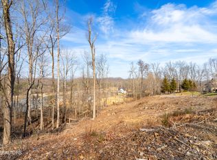200 Windswept Dr, Lenoir City, TN 37772
