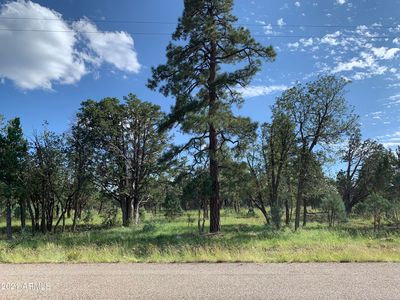 2296 Deer Path Road #292, Happy Jack, AZ, 86024