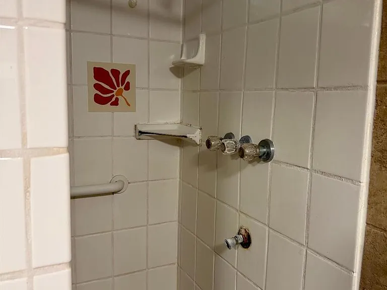 Large Tiled Shower