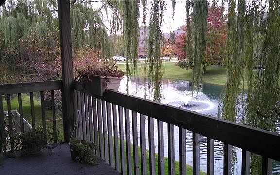 5th image of 9815 Hawthorne Glen