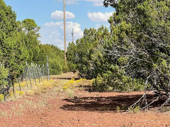 59 N 3131 -- #156/155/154, Vernon, AZ 85940