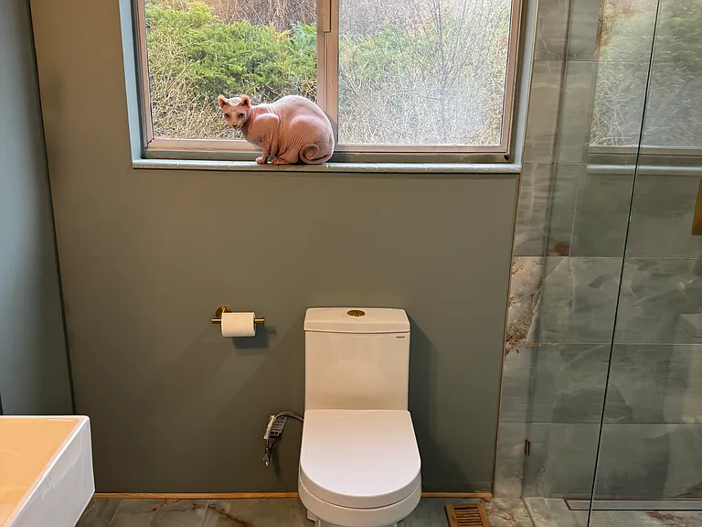 412 Canyon Estates Cir — Photo 11