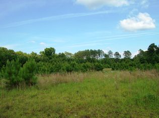 Tbd Winding Pond Rd, Manning, SC 29102