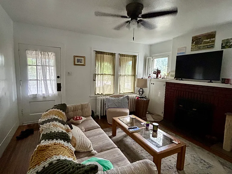 223 E Elizabeth St #223 — Photo 4