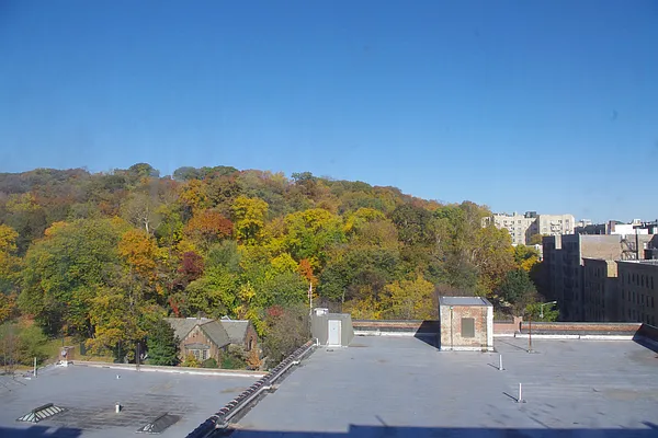 Rented by null | media 16