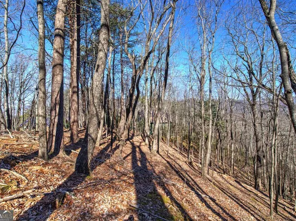 0 Walnut Mountain Rd, Ellijay, GA 30536