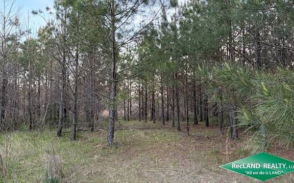 3rd image of 0 Rodney Martin Rd