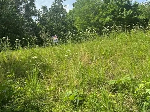 0 Dock Drive Cypress Rd, Buchanan, TN 38222