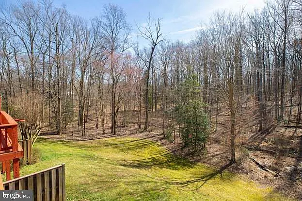 8931 Park Forest Dr — Photo 47