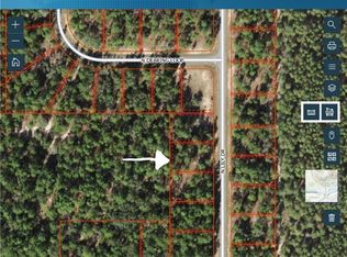 9574 N Lily Dr, Citrus Springs, FL 34434