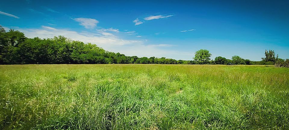Beautiful meadow!