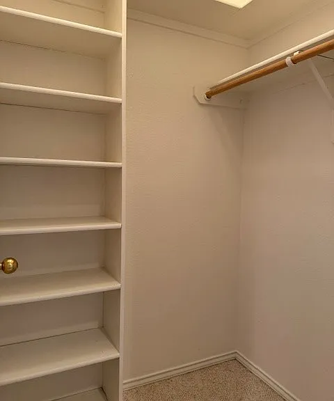 4813 Spring Meadow Ln #4 — Photo 21