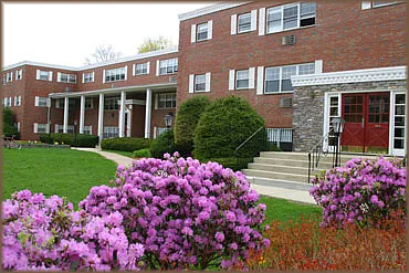 Executive Apartments