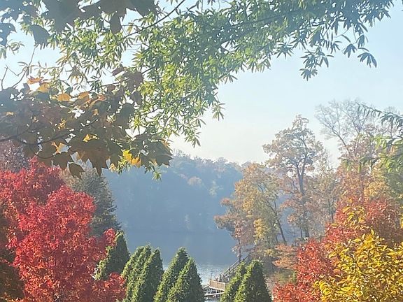3rd image of 4112 Cove Point Dr