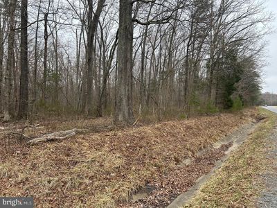 Swan Woods Rd, Rhoadesville, VA, 22542