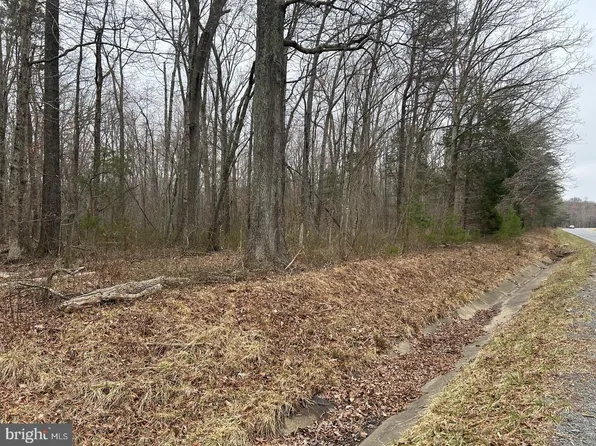 Swan Woods Rd, Rhoadesville, VA 22542