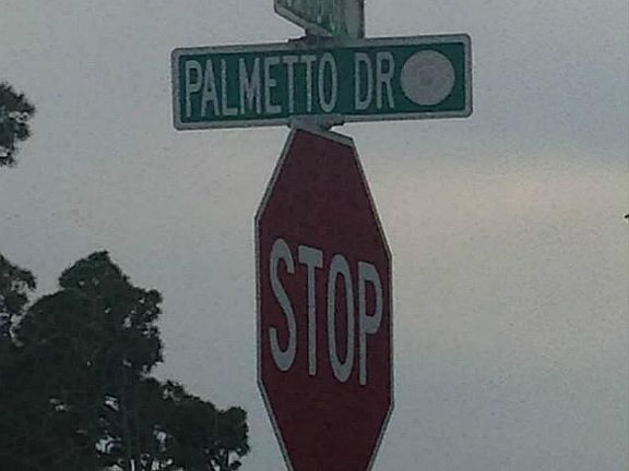 5th image of 5317 Palmetto Dr