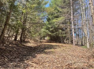 100 Dunbar Rd, Deposit, NY 13754