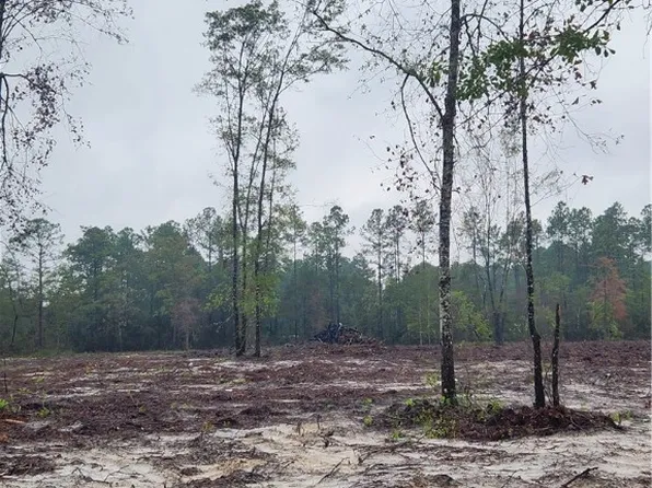 0 Drury Ln, Waynesville, GA 31566