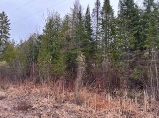 Tbd Banwell, Alanson, MI 49706