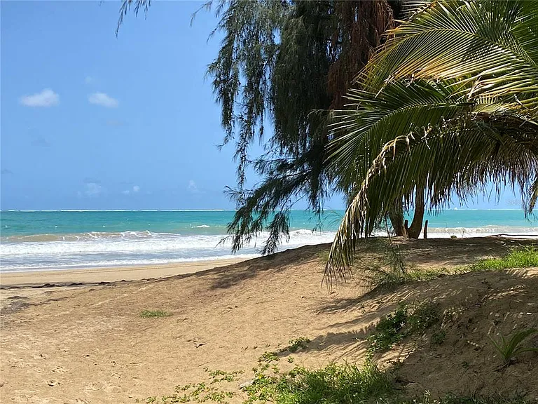 Park Plaza 4429 Ave Isla Verde #12 — Photo 2