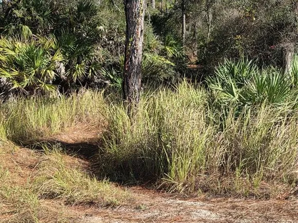 1351 R E Byrd Rd Lot 8, Frostproof, FL 33843