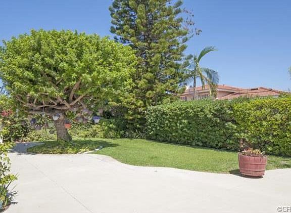 Another view of back yard